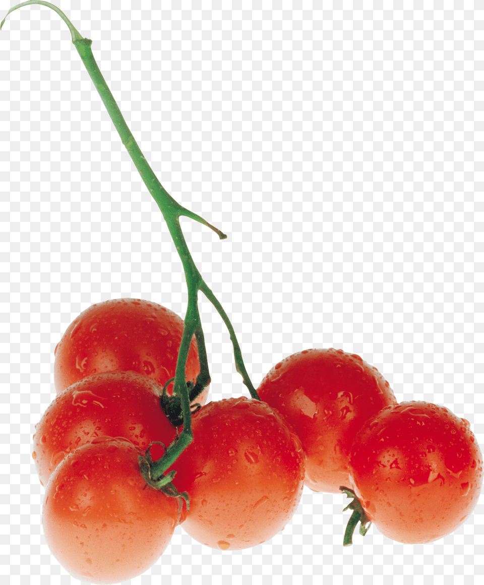 Red Tomatoes Tomato, Food, Fruit, Plant, Produce Png Image