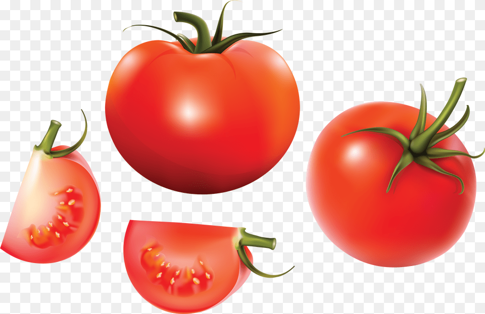 Red Tomatoes Tomato Vector, Food, Plant, Produce, Vegetable Free Transparent Png