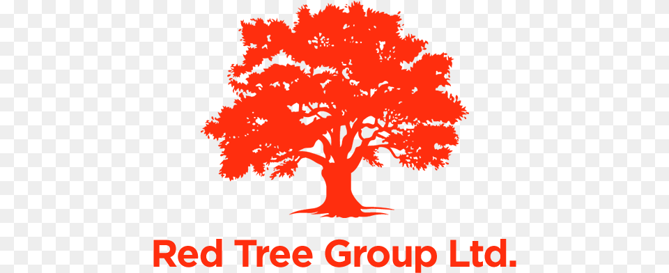 Red Tree Ottawa Beckmen Vineyards, Maple, Plant, Oak Free Transparent Png