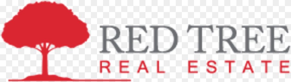 Red Tree Real Estate, Cream, Dessert, Food, Ice Cream Png Image