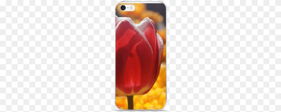 Red Tulip Iphone Case Iphone, Flower, Plant, Petal Png Image