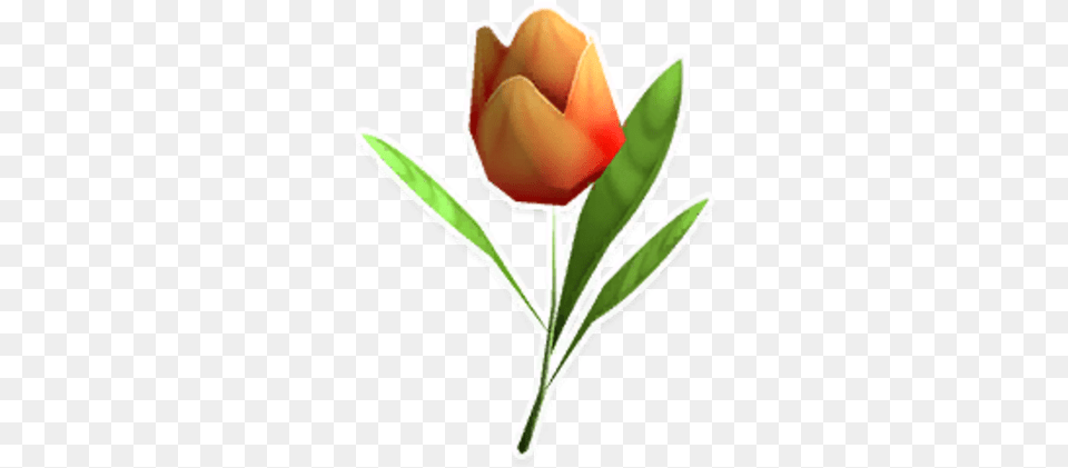 Red Tulip Tulip, Plant, Rose, Flower, Leaf Png