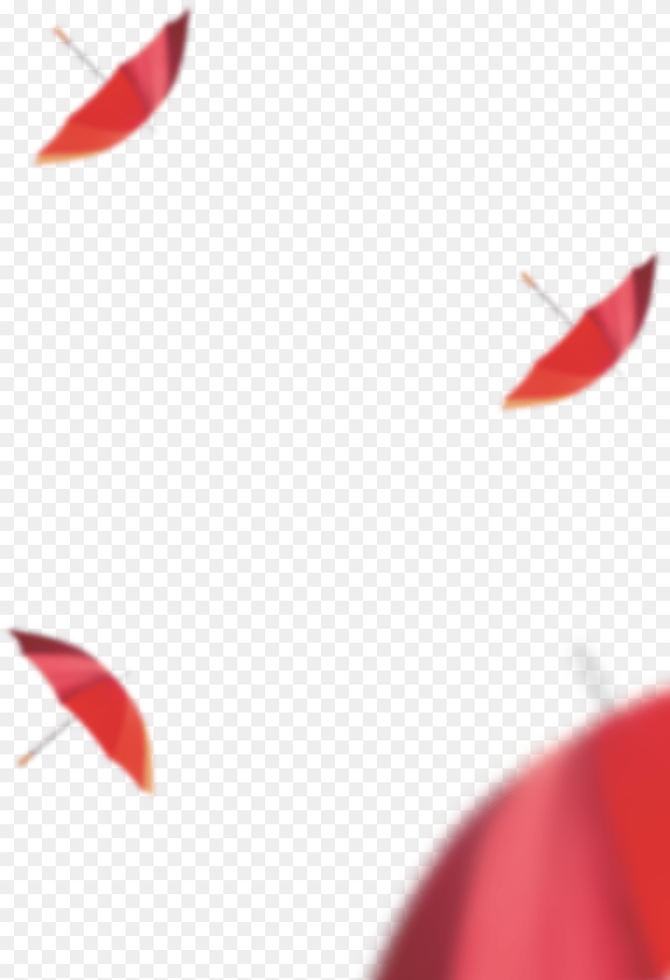 Red Umbrella, Canopy, Flower, Plant Png Image