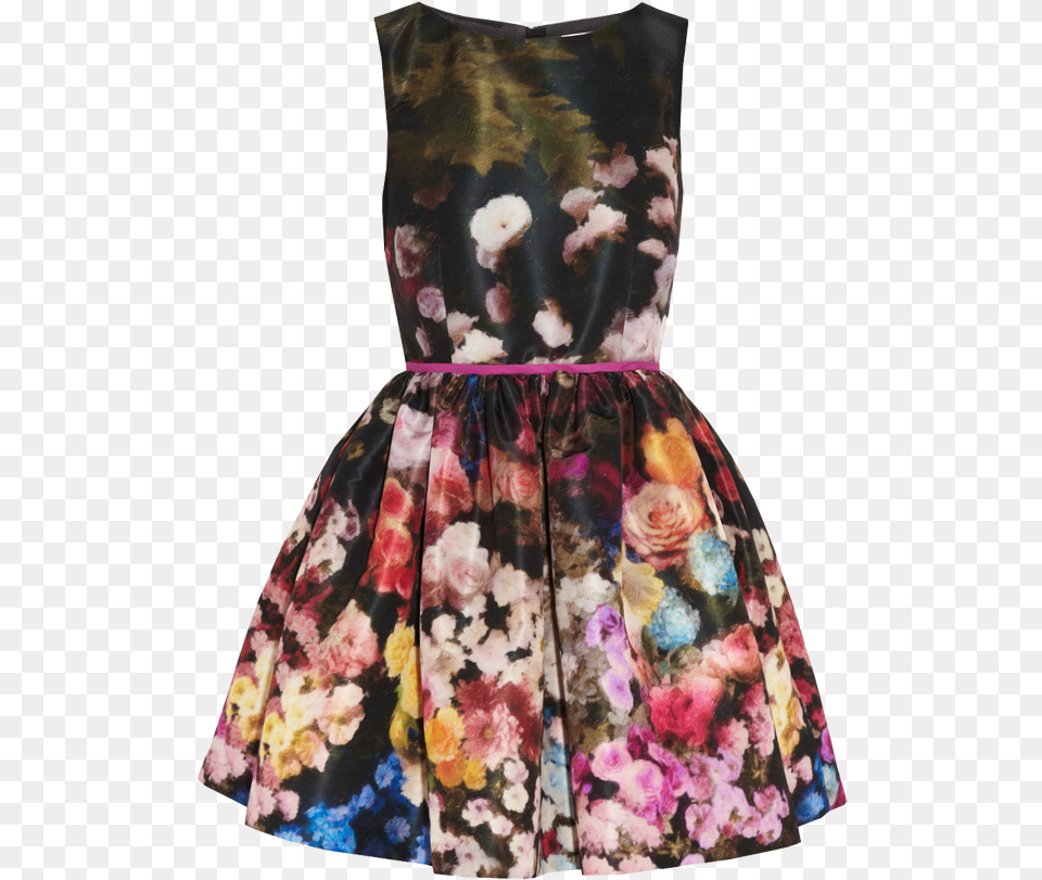 Red Valentino Floral Print Taffeta Dress Red Valentino Floral Dress, Velvet, Clothing, Formal Wear, Female Png