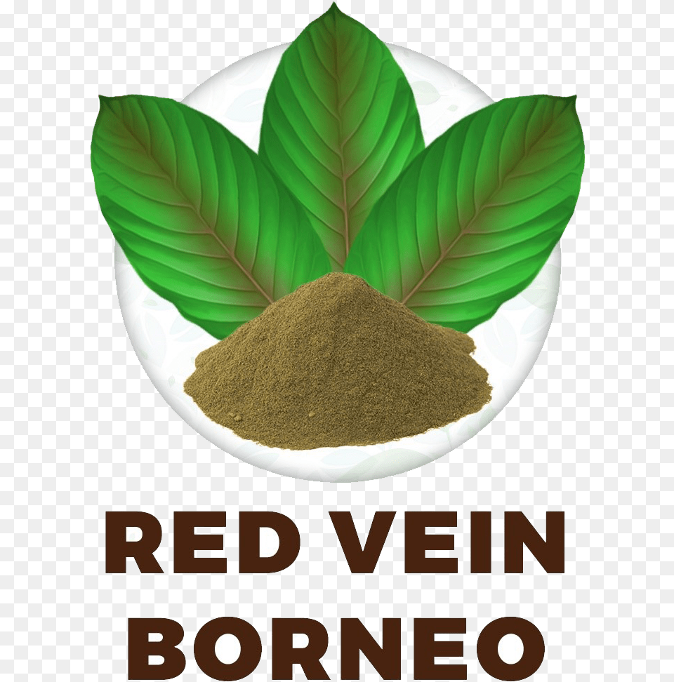 Red Vein Borneo Saigon Cinnamon, Leaf, Plant, Powder, Soil Free Png Download
