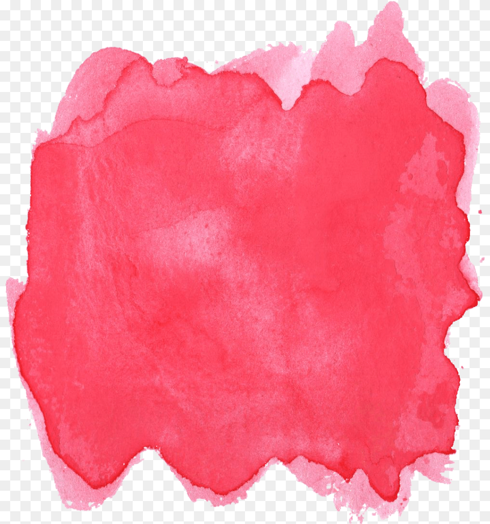 Red Watercolor Background Water Color Red, Flower, Home Decor, Petal, Plant Free Png