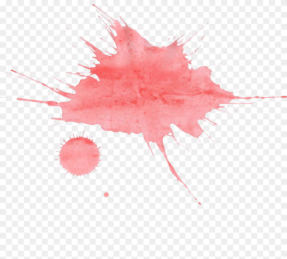 Red Watercolor Splatter Pink Splash Background, Leaf, Plant, Stain, Person Free Transparent Png