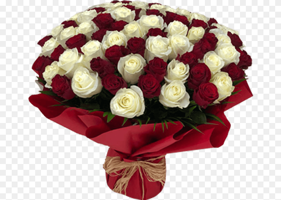 Red White Rose Bouquet 50 Lovely, Flower Bouquet, Flower, Flower Arrangement, Plant Free Png Download