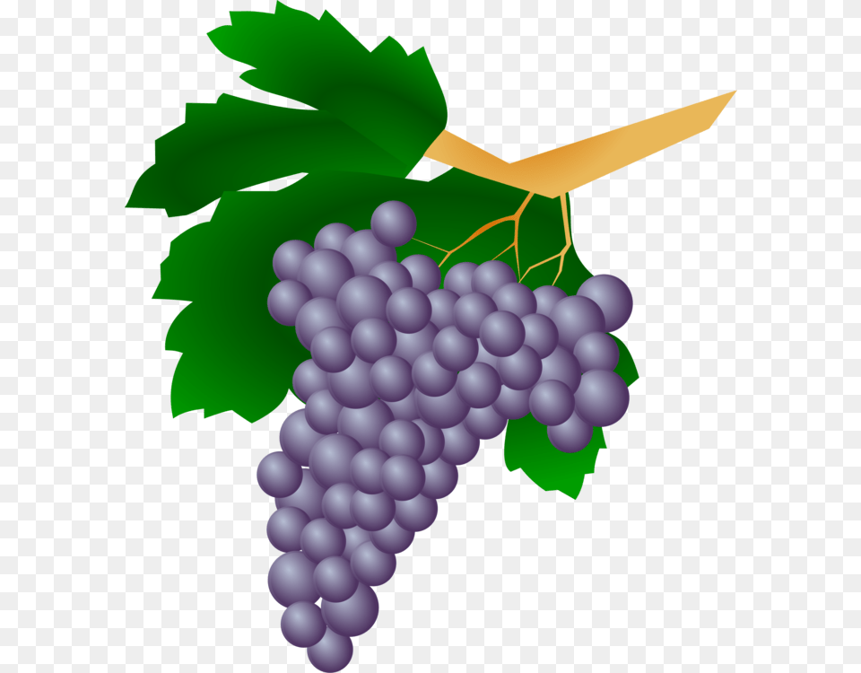 Red Wine Kyoho Straw Wine Grape, Food, Fruit, Grapes, Plant Free Png