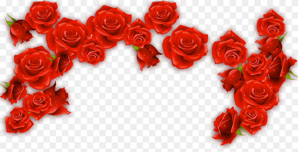 Red Wine Rosxe9 Rose Red Flower Border, Plant Free Png