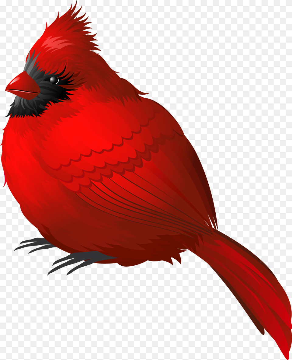 Red Winter Bird Clipart Red Bird, Animal, Cardinal Png Image