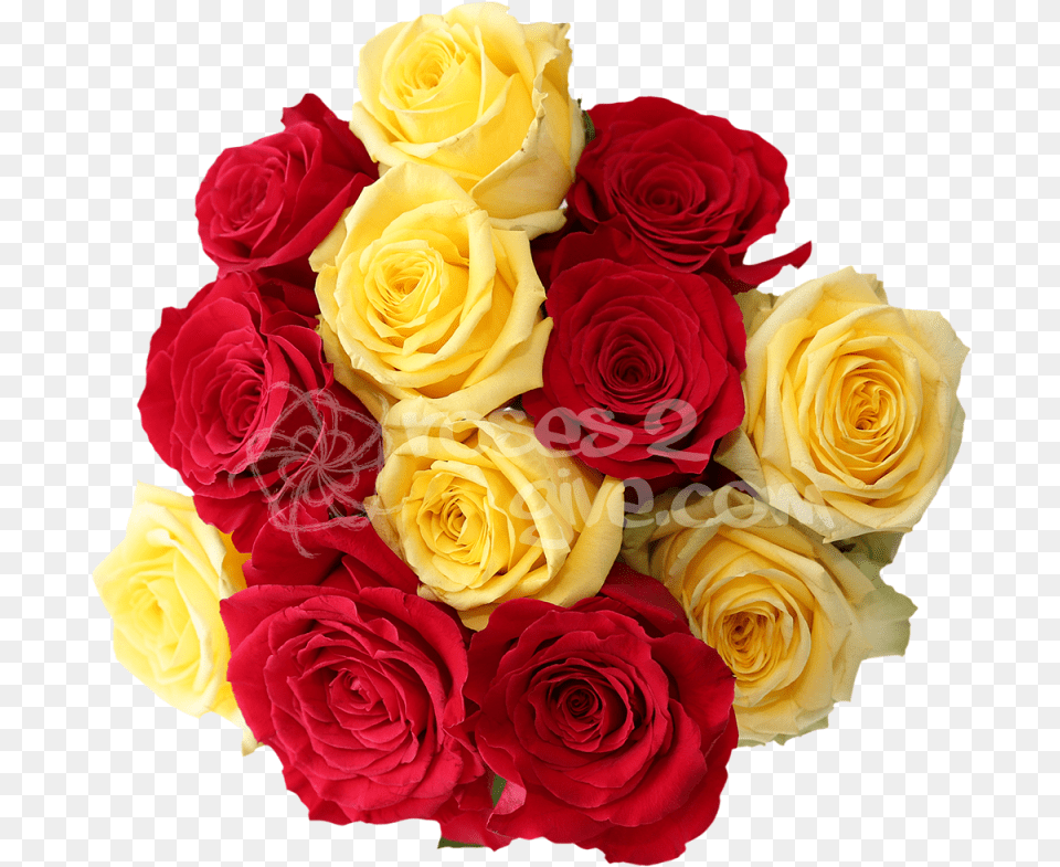 Red Yellow Combination Red And Yellow Rose Combination, Flower, Flower Arrangement, Flower Bouquet, Plant Free Transparent Png