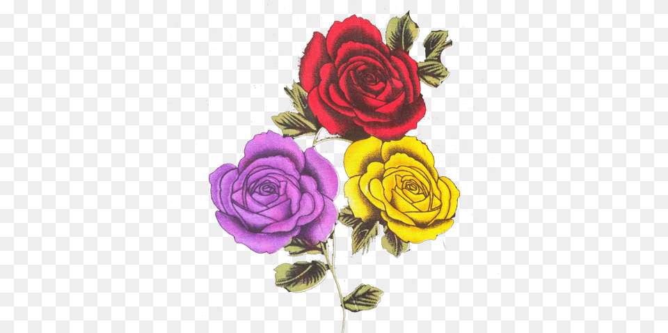 Red Yellow Purple Rose Heartpngcom, Art, Flower, Graphics, Plant Free Transparent Png