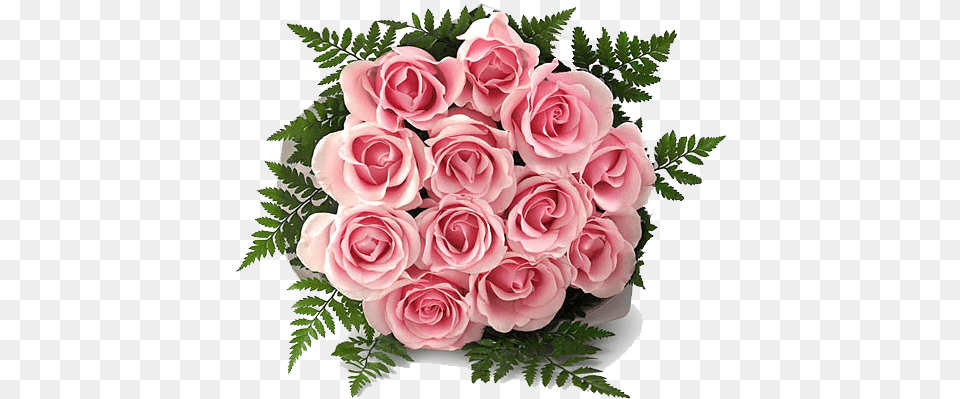 Red Yellow White Pink Roses, Flower, Flower Arrangement, Flower Bouquet, Plant Free Transparent Png