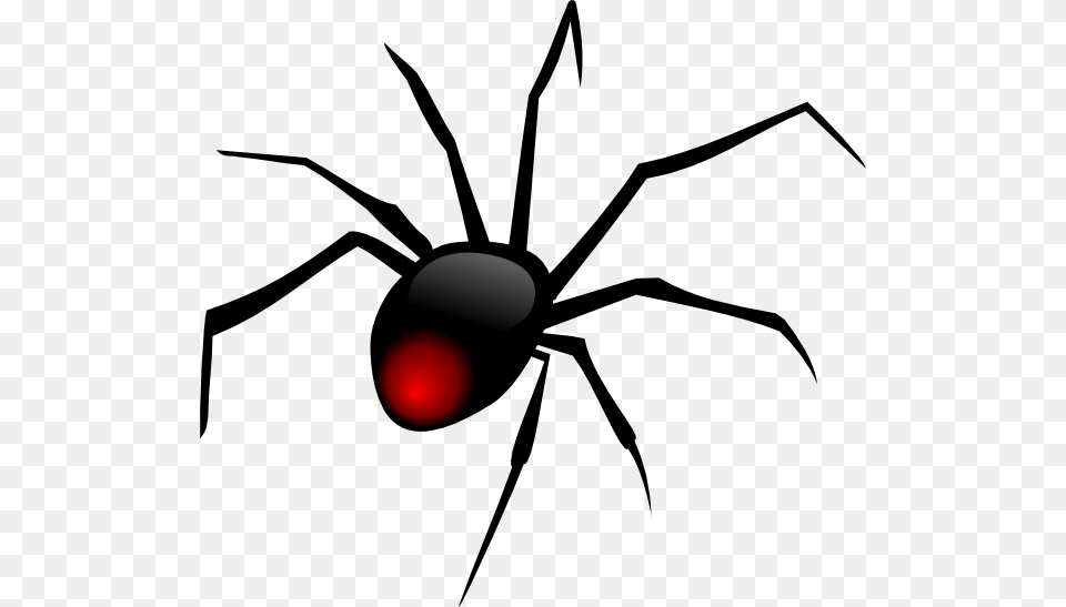 Redback Spider Clip Art, Animal, Invertebrate, Black Widow, Insect Png Image
