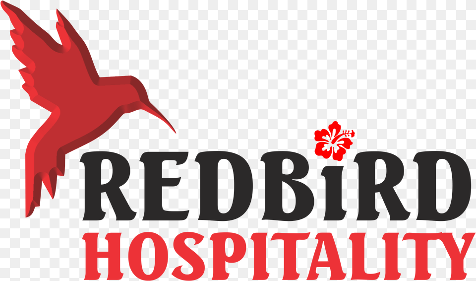 Redbird Hospitality Domestic Tour Package, Leaf, Plant, Animal, Beak Png