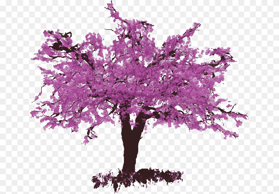 Redbud Rose Wine Eastern Redbud, Flower, Plant, Purple, Cherry Blossom Png