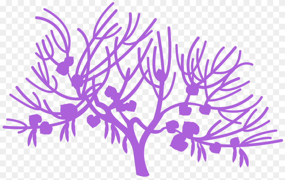 Redbud Silhouette, Purple, Art, Graphics, Flower Png