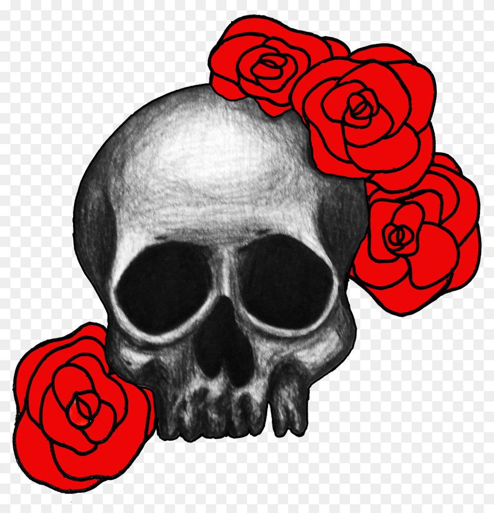 Redclip Skull With Roses, Rose, Plant, Flower, Person Free Transparent Png