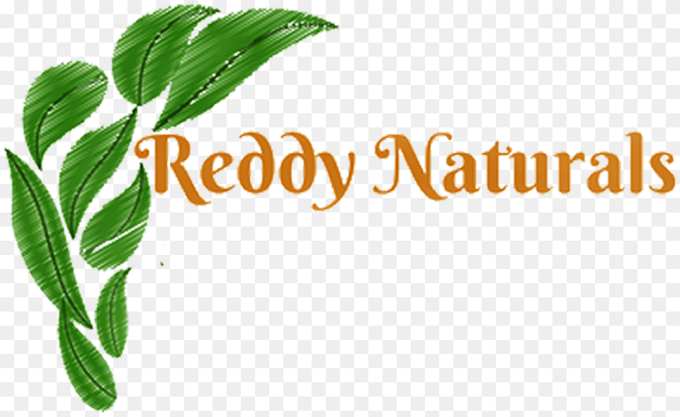 Reddy Naturals Reddy Naturals, Green, Herbal, Herbs, Leaf Free Transparent Png