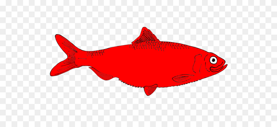 Redfish Clip Art, Animal, Sea Life, Fish, Shark Png Image