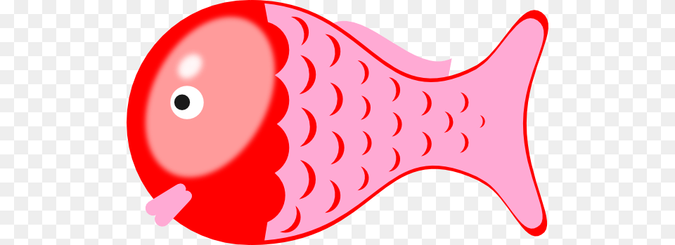 Redfish Clip Art, Animal, Sea Life, Fish Png