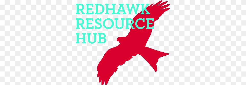 Redhawk Resource Hub Desk, Animal, Bird, Kite Bird, Person Free Png