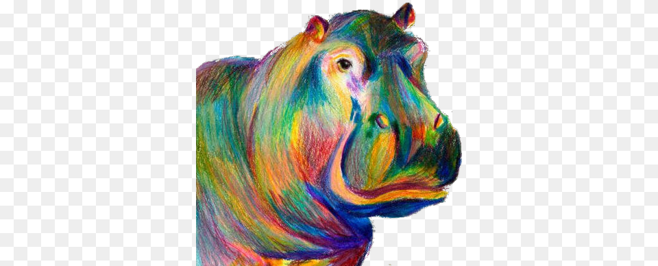 Redsnt Hippo Colorful, Canvas, Art, Painting, Animal Png Image