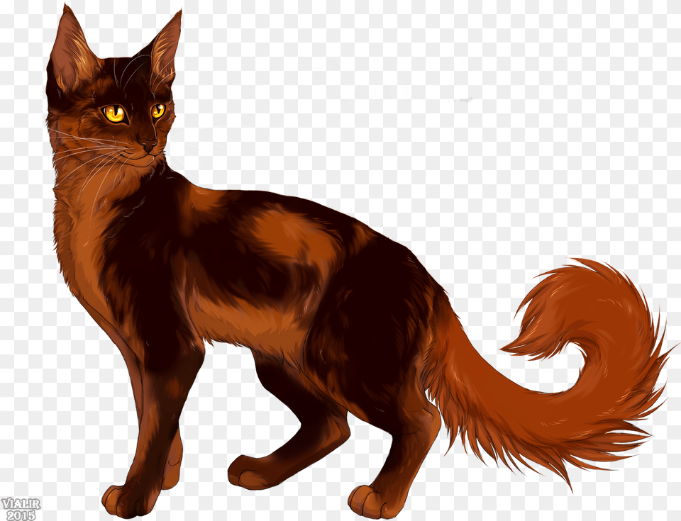 Redtail Redtail Oakheart Warrior Cats, Animal, Cat, Mammal, Pet Free Transparent Png