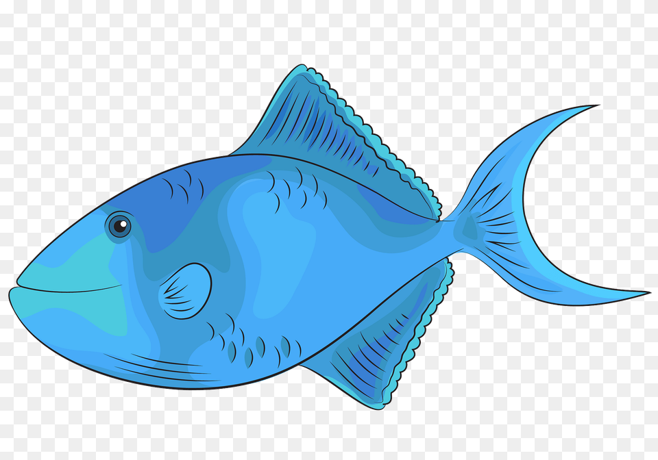 Redtoothed Triggerfish Clipart, Animal, Sea Life, Fish, Surgeonfish Free Png