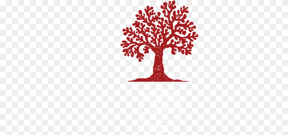 Redtree Wine U2022 Celebrating The Natural Beauty Of Golden Red Tree Pinot Noir, Plant, Sticker, Art, Graphics Free Transparent Png