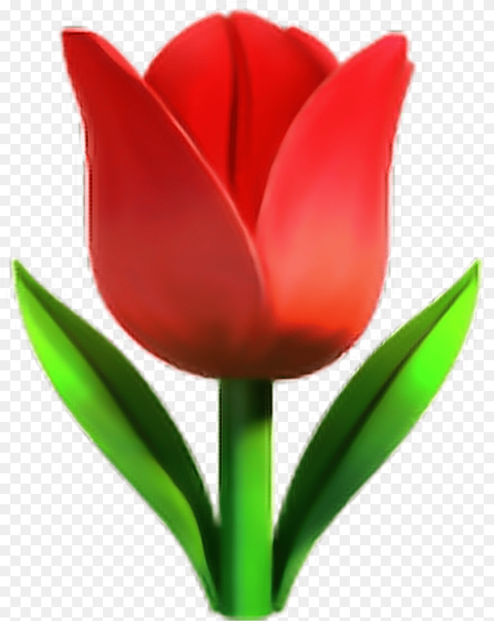 Redtulipemoji Tulip Emoji, Flower, Plant Png Image