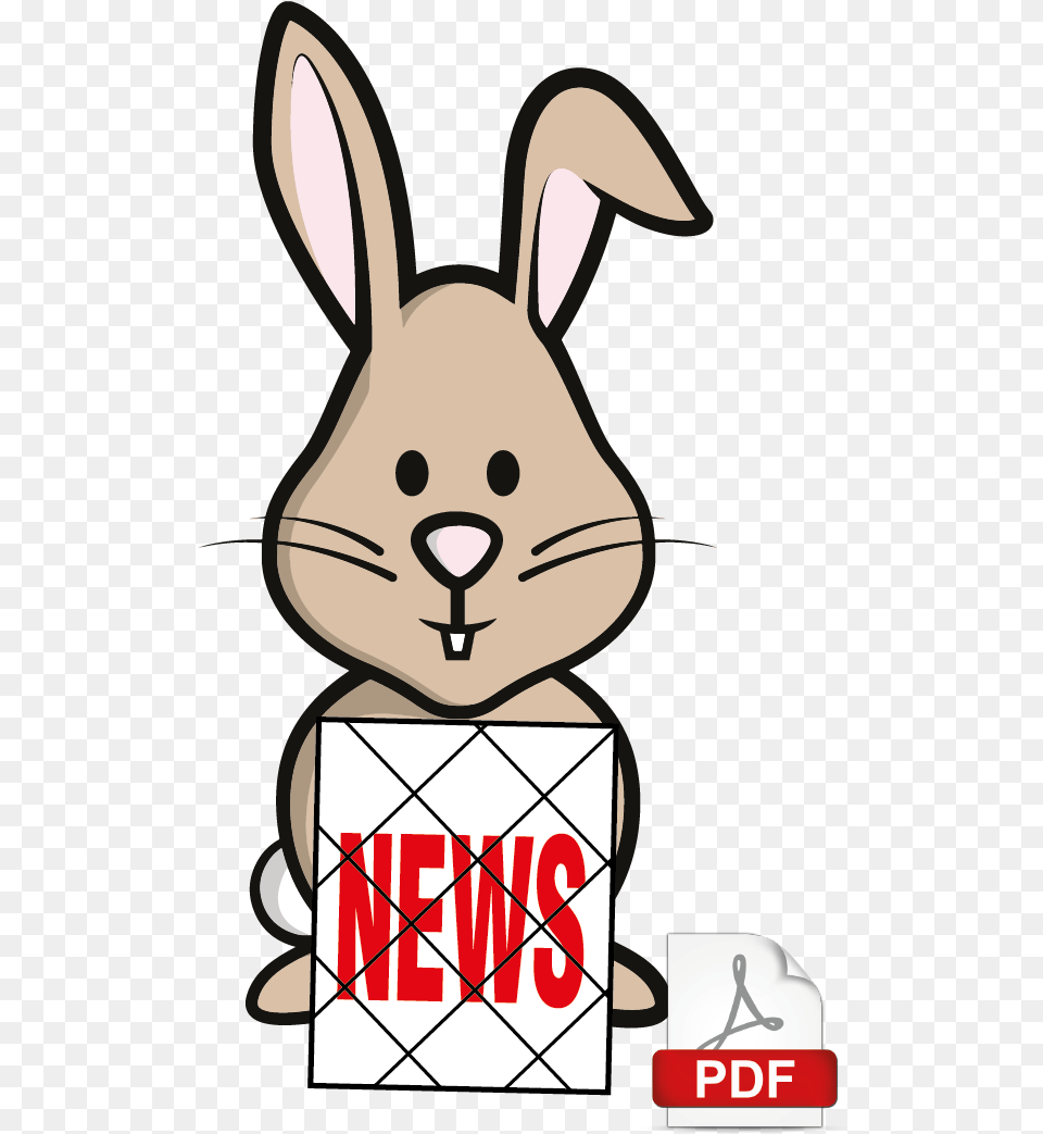 Redvales Rabbit News Image Domestic Rabbit, Animal, Mammal, Baby, Person Free Png