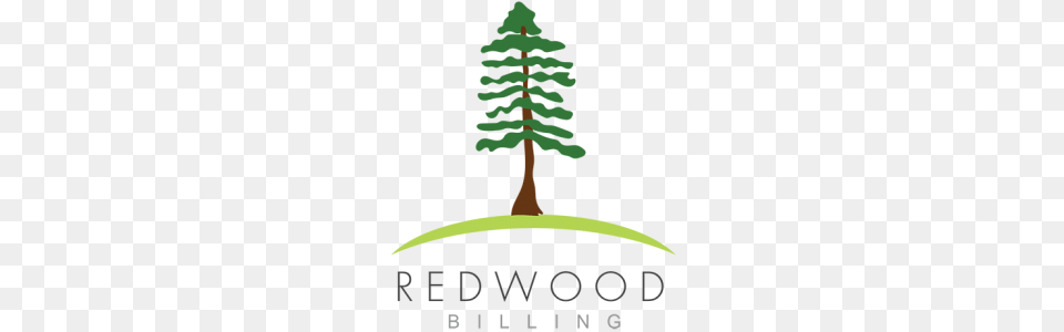 Redwood Billing, Pine, Plant, Tree, Fir Free Png