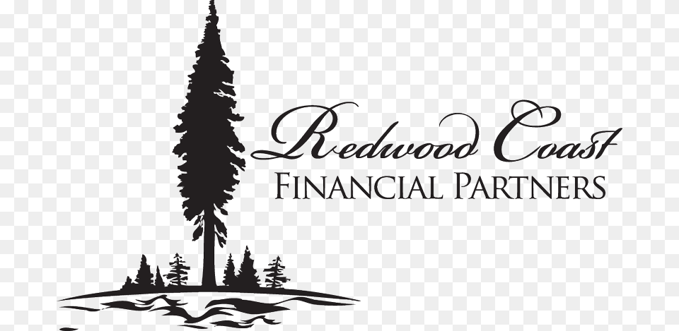 Redwood Coast Financial Partners Colorado Spruce, Plant, Tree, Pine, Silhouette Free Transparent Png