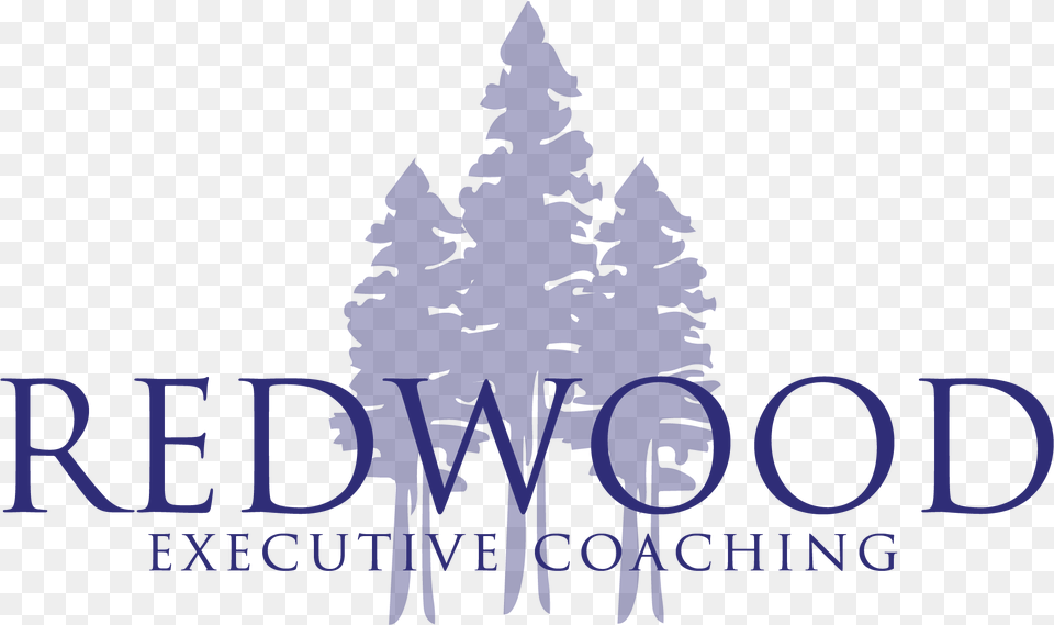 Redwood Executive Coaching Olive Tree, Plant, Fir, Person, Pine Png Image