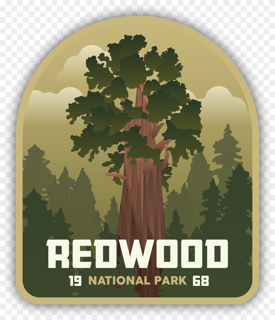 Redwood National Park Sticker Gambel Oak, Grove, Vegetation, Tree, Plant Free Png
