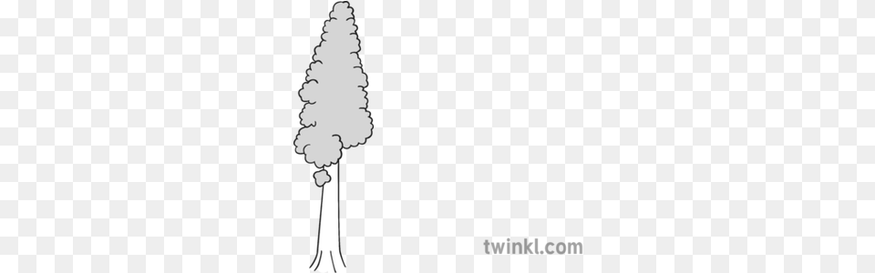 Redwood Tree Black And White Language, Silhouette, Weapon Png