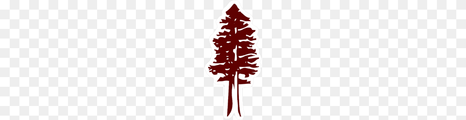 Redwood Tree Icon Sticker, Plant, Stencil, Food, Ketchup Free Png