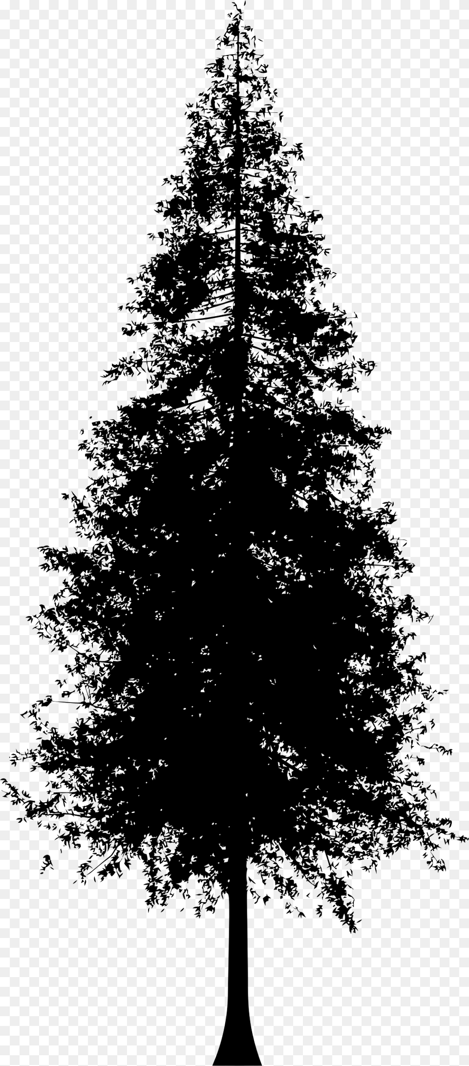 Redwood Tree Silhouette Graphic Stock Redwood Tree Line Art, Gray Free Transparent Png