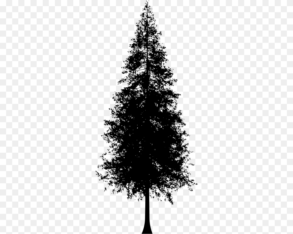 Redwood Tree Silhouette Vector Pine Tree Silhouette, Gray Free Transparent Png