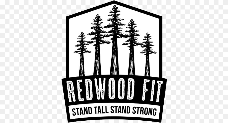 Redwoodfit Blackampwhite Watermark Illustration, Pine, Plant, Tree, Fir Free Png