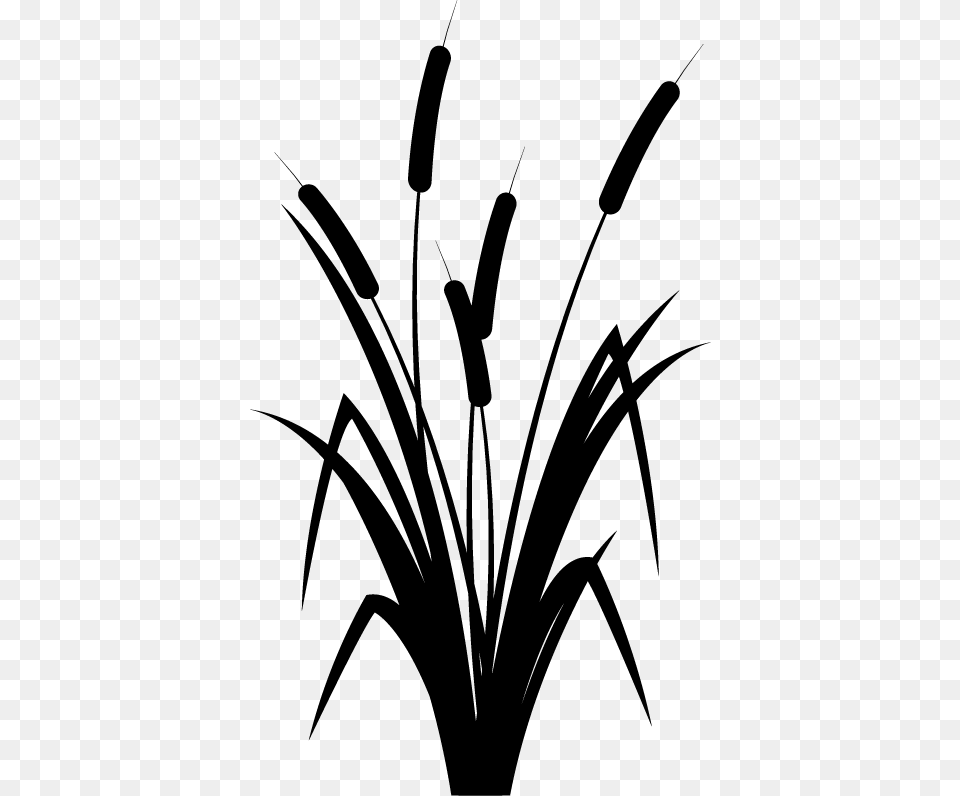 Reed Black And White, Plant, Grass, Green, Bow Free Png