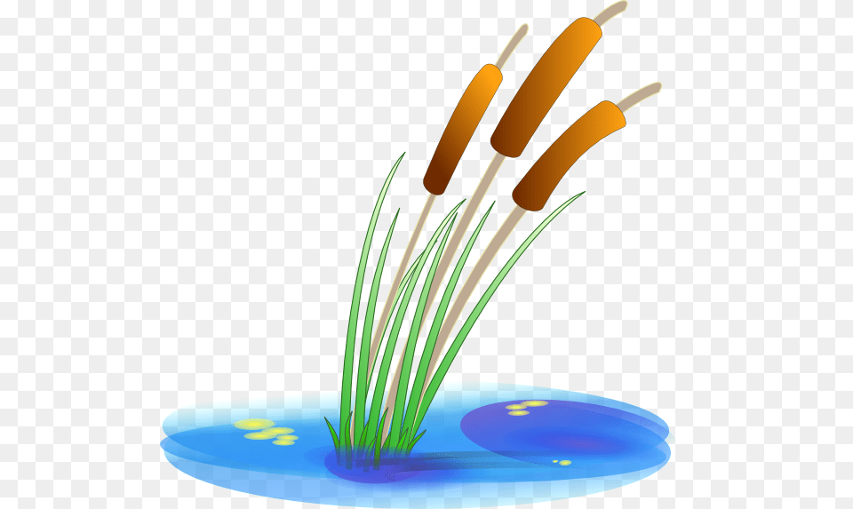 Reed Clip Art, Anther, Flower, Plant, Smoke Pipe Free Transparent Png