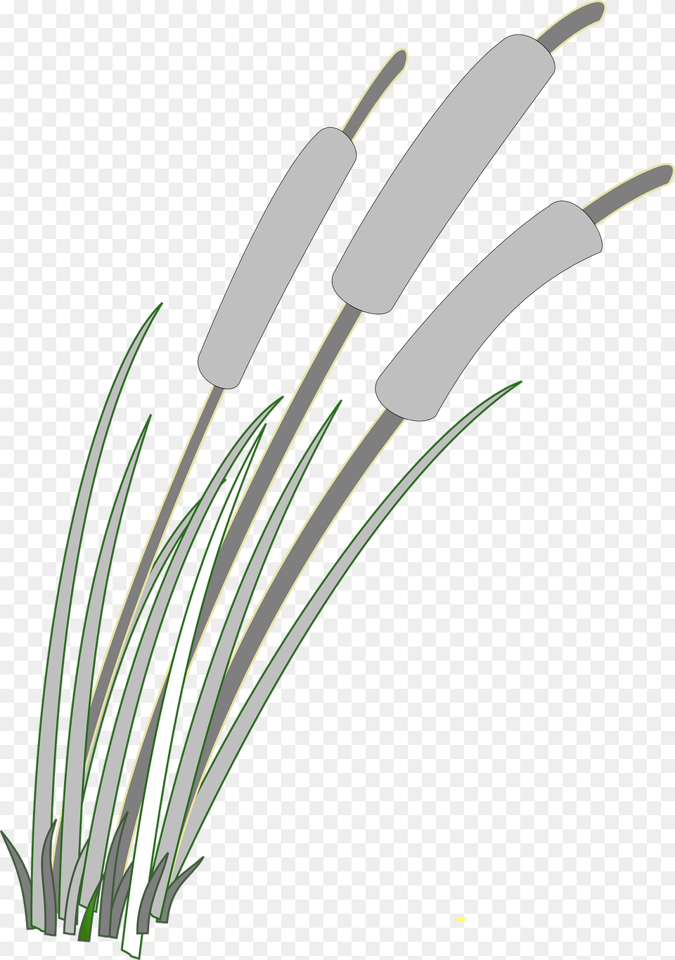 Reed Clipart, Grass, Plant, Smoke Pipe Free Png Download