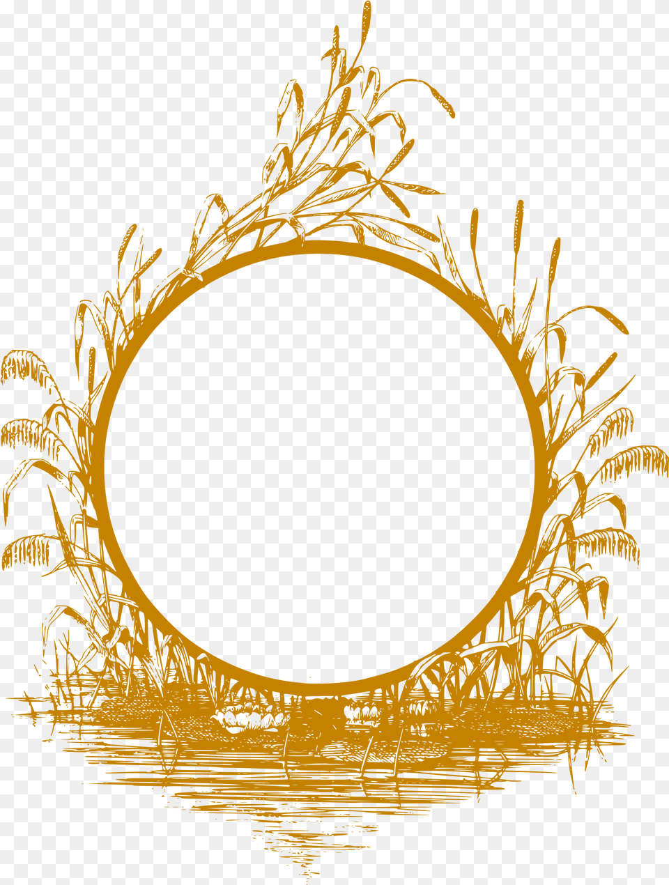 Reed Frame Clip Arts Gold Frame Design, Oval, Plant, Accessories, Outdoors Free Png Download