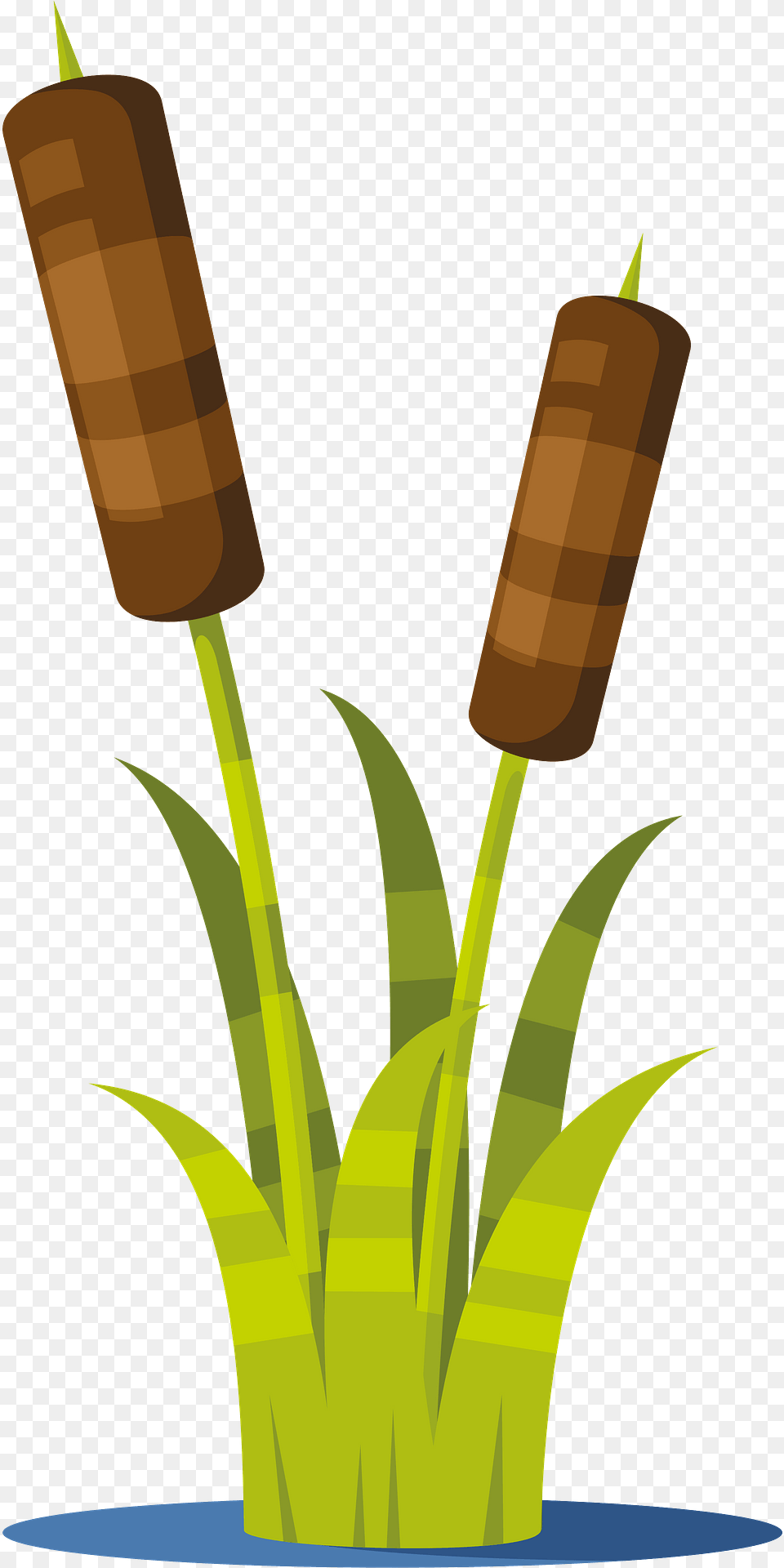 Reed Plant Clipart, Weapon, Dynamite Free Transparent Png
