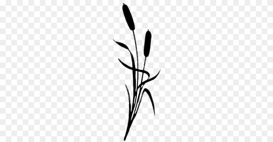 Reed Silhouette, Grass, Plant, Green, Herbal Png Image