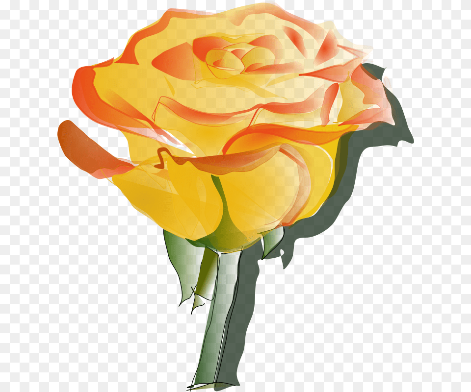 Reedabadeeda, Flower, Plant, Rose, Person Free Png