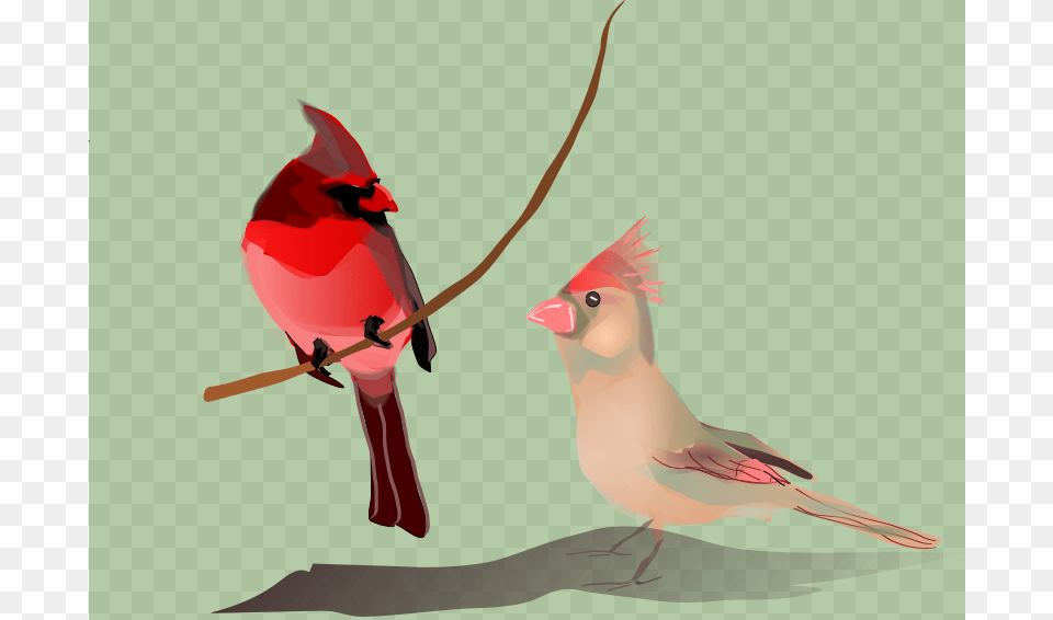 Reedabadeeda It Must Be Love, Animal, Bird, Beak, Cardinal Free Png